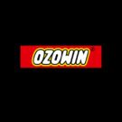 OZOWIN Casino